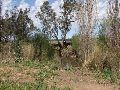 Lot 42 Orange Grove Road, Gunnedah