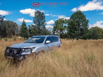 730 Wallangra Road, Ashford