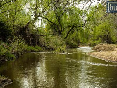 947 Yackandandah-Wodonga Road, Staghorn Flat