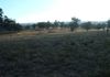 2474 Mitchell Highway, Molong