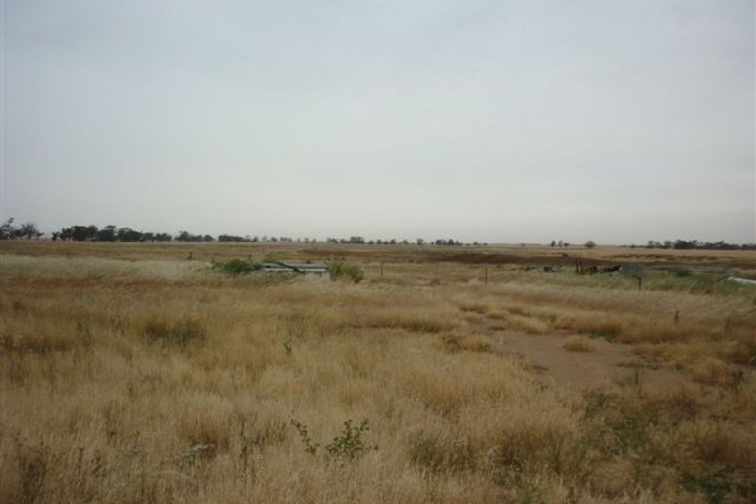 3341 Borung Highway, Donald