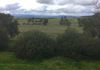 - Loch Lomond Road, Gooloogong