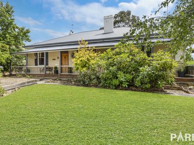 23 Pine Avenue, Newstead