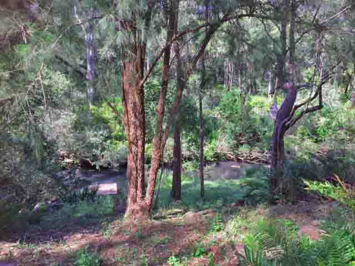Ravenshoe