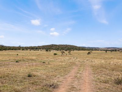 8681  Oxley Highway , Gunnedah