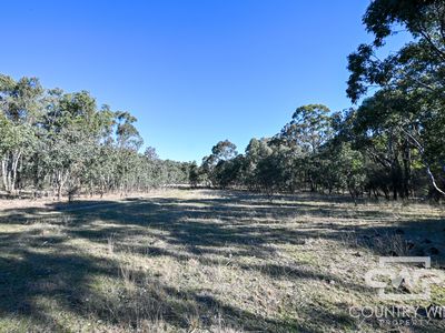 3889 Nullamanna Road, Wellingrove