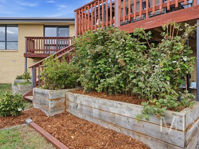 332 Gillies Road, Granton