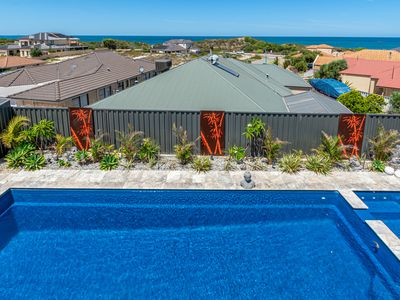 8 Harlequin Way, Yanchep
