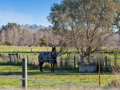 545 Mt Buller Road, Mansfield