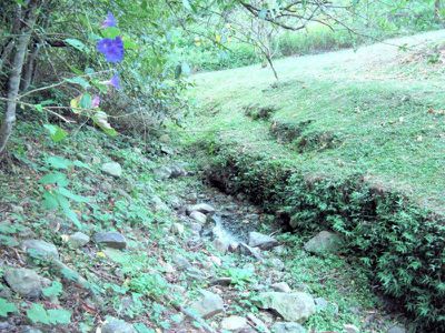 Lot 2, Upper Cedar Creek Road, Maleny