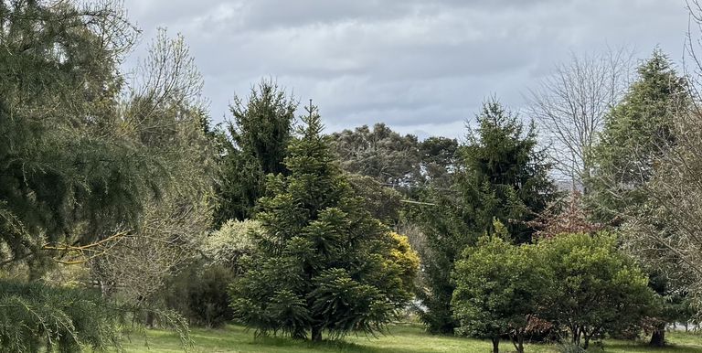 2122 Euroa-Strathbogie Road, Strathbogie