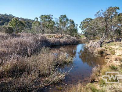 1651 Shannon Vale Road, Shannon Vale