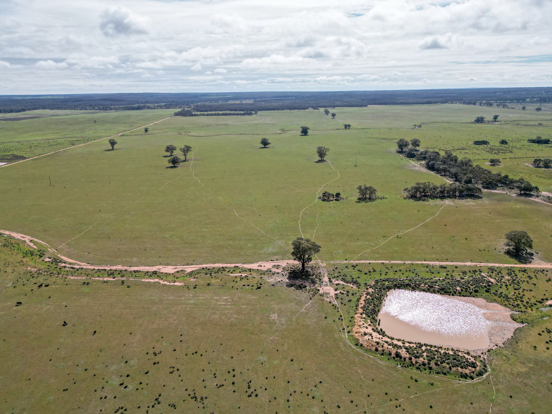 ' Dalmallee' 735 Charcoal Tank Road, West Wyalong