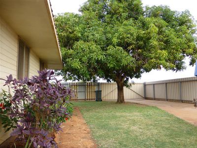 18 Bottlebrush Crescent, South Hedland