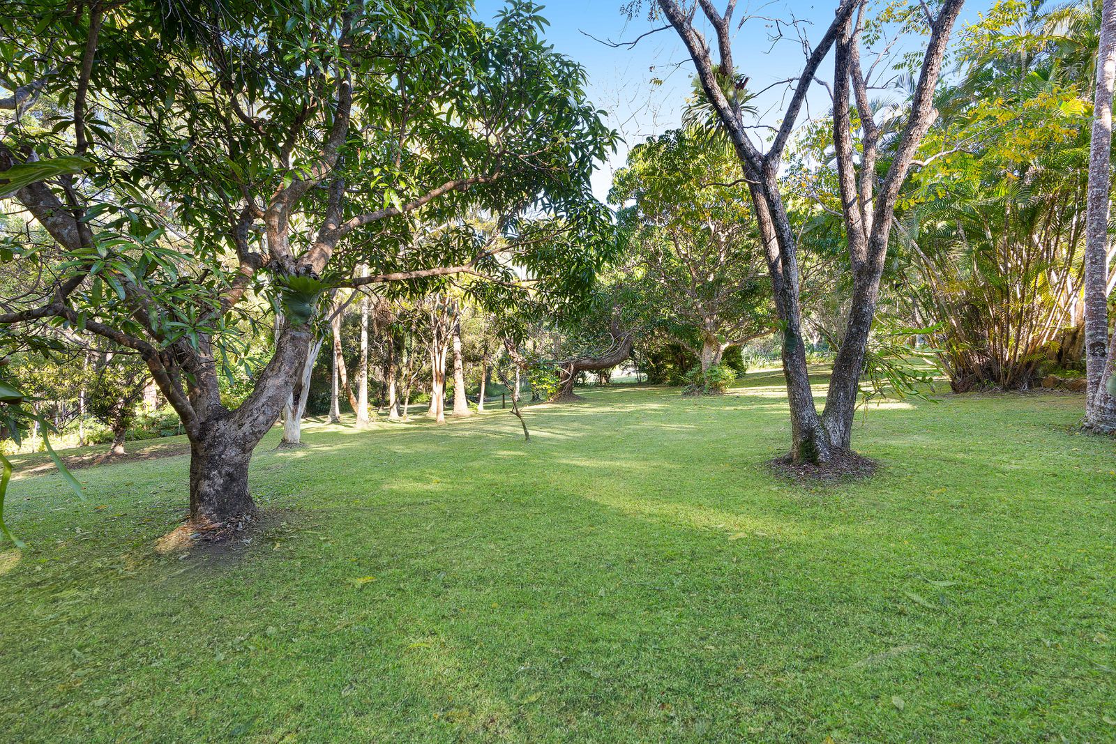 Photo 4 of 15, 17 Coveys Road, Tinbeerwah