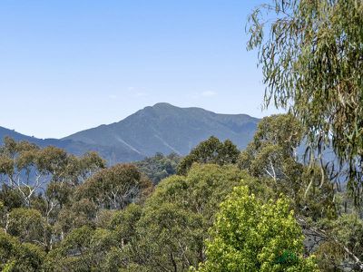 173 Simmonds Creek Road, Tawonga South