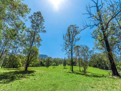 975 Green Pigeon Road, Green Pigeon Via, Kyogle