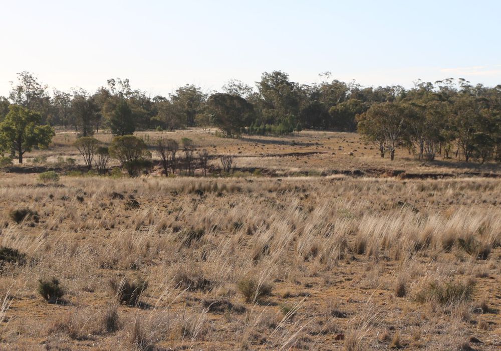Back Trundle Road, Parkes