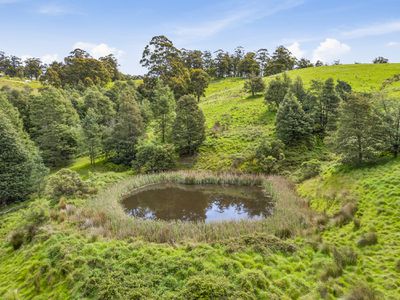 351 Golden Valley Road, Cygnet