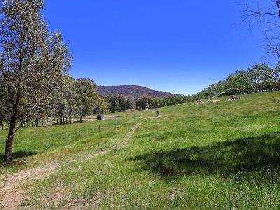 623 Back Creek Road, Yackandandah