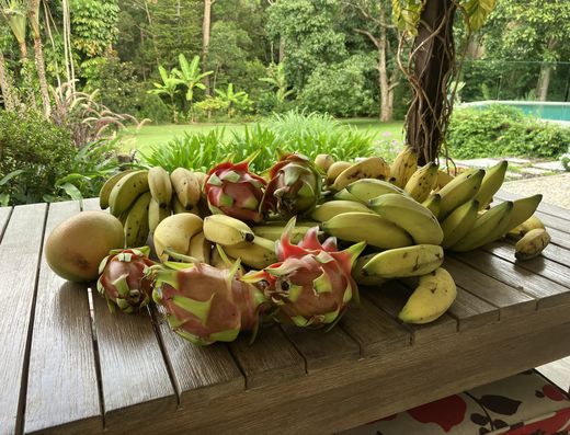 Spacious Single Level Acreage Home with Established and Productive Fruit Trees image 2