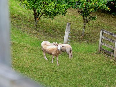 2 Slater Road, Helensville