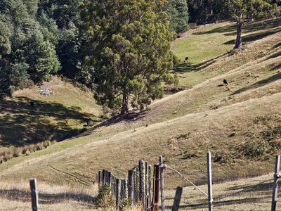 423 Slab Road, Cygnet