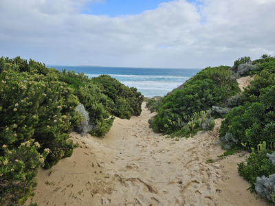 Lot 3 Phoques Bay Road, Egg Lagoon