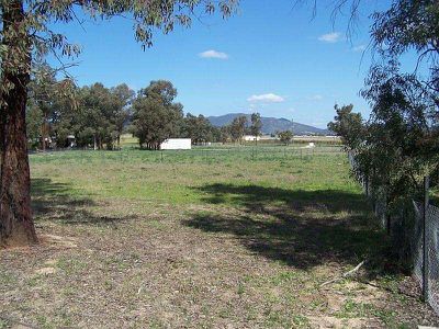 Lot 8 Thomas Street, Moonbi