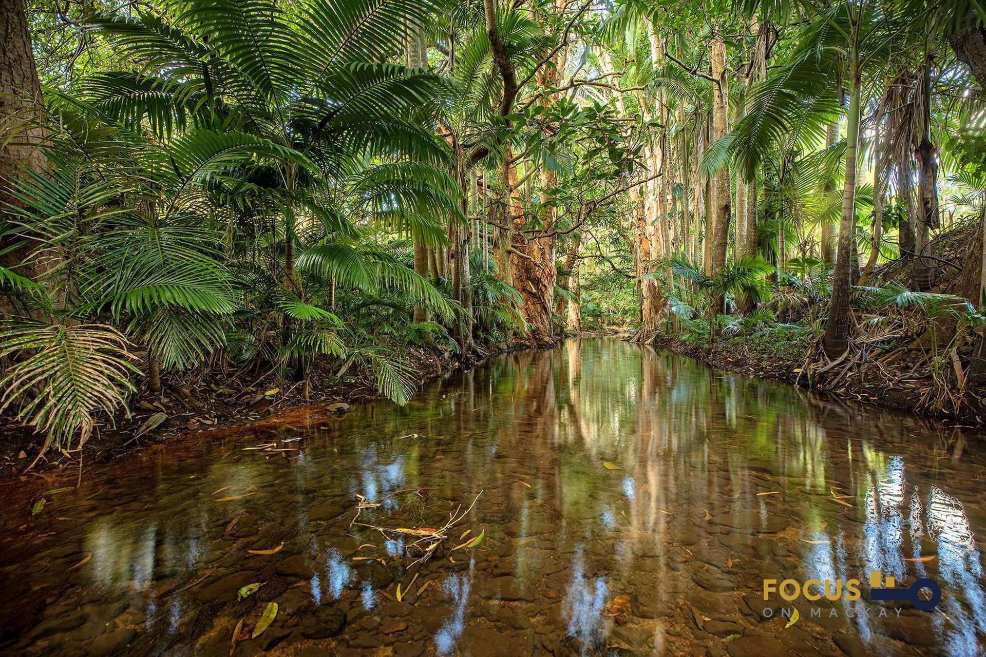 95 Ching Creek Rd, Sarina