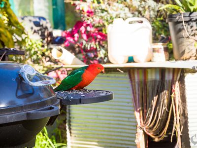 212 Ridge Road, Central Tilba