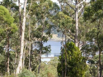 237A Graces Road, Glaziers Bay