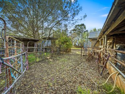 2101 McBain Road, Koyuga