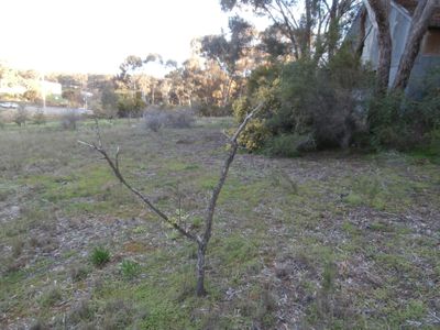 Lot 3, 144 Loddon Valley Highway , Sailors Gully