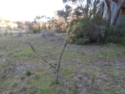 Lot 3, 144 Loddon Valley Highway , Sailors Gully