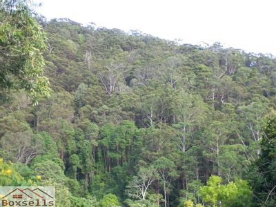 Maleny