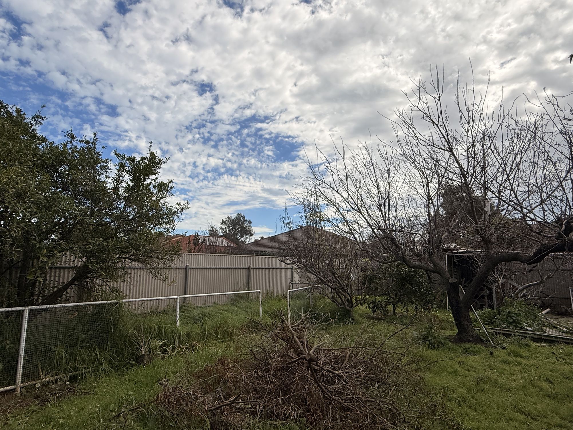 32 Willoughby Street, Ferryden Park