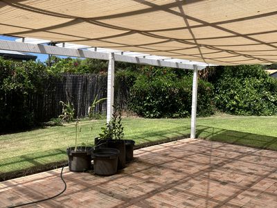 22 Honeysuckle Drive, Annandale