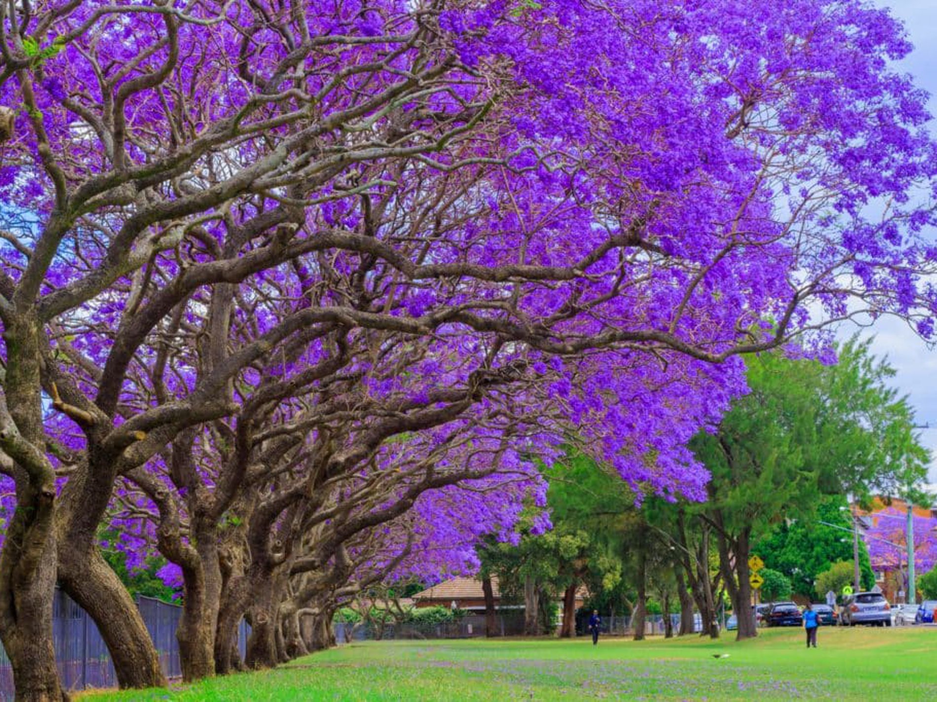 35-37 Queen Victoria Street, Bexley