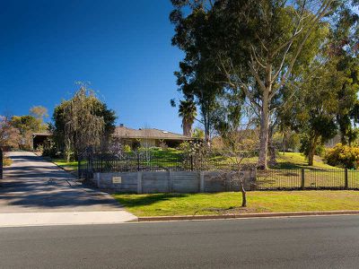 Lavington