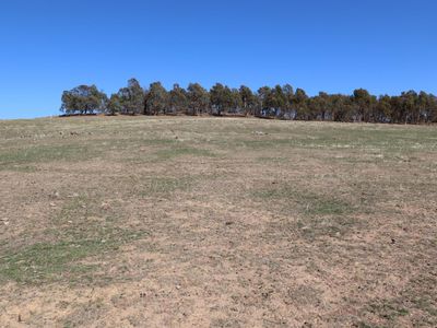 Lots 1 & 7H  Lots 1 & 7H  Hayes Gully Road, Tooborac