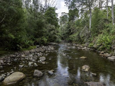 243 Judds Creek Road, Judbury
