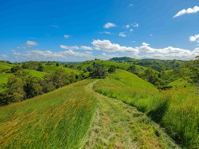 37 SIMPSONS ROAD, Cootharaba