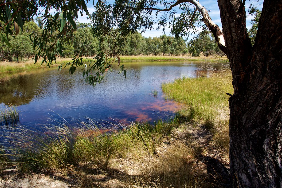 2932 Merton Euroa Road, Merton