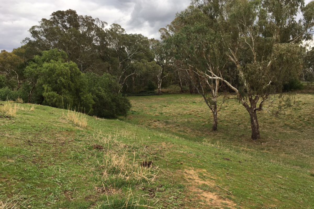 84 -102 -102 Livingstone Street, Avenel