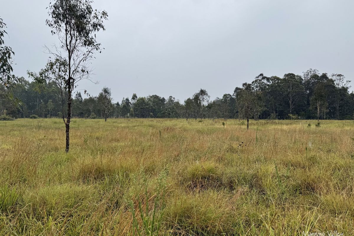 Lot 42, 690 Willina Road, Willina