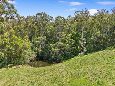 120 Frenchmans Gully Road, Kianga