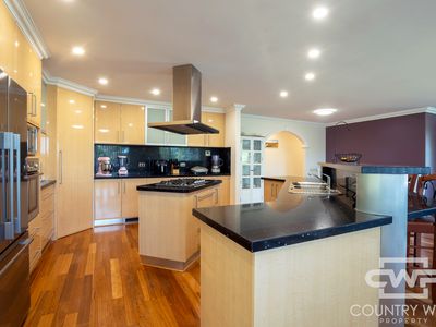 16 Bates Avenue, Glen Innes