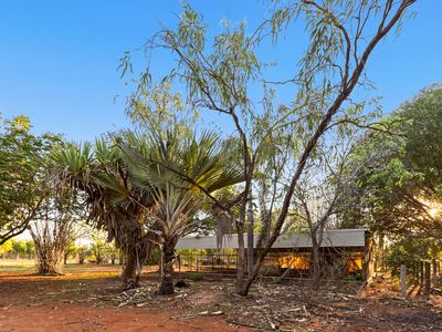 24 Yamashita Street, Roebuck