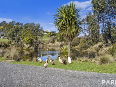 9 Longvista Road, Blackstone Heights